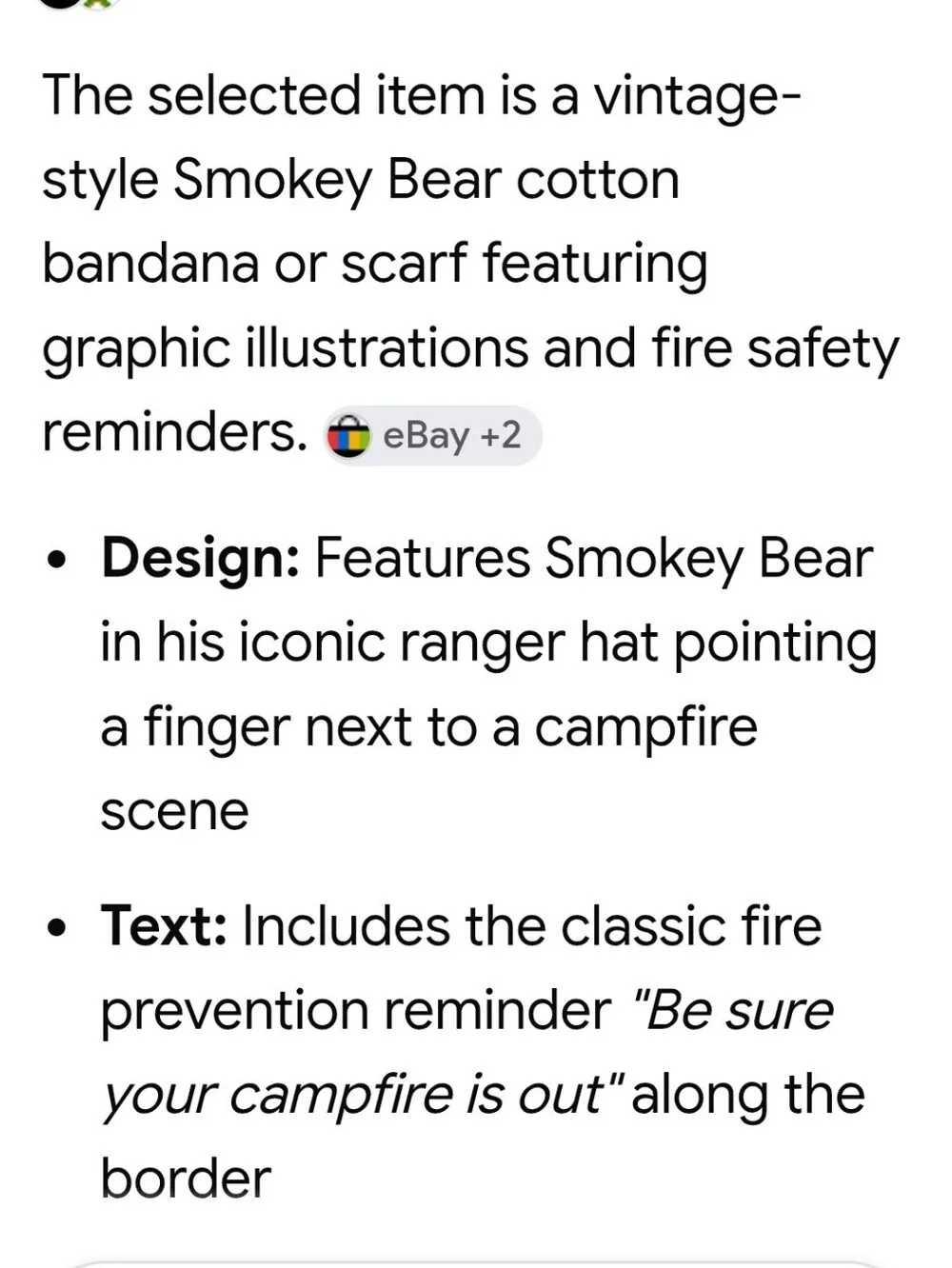 Vintage Smokey Bear Cotton Bandana